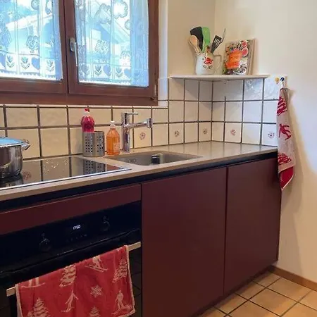 Cosy Dans Apartment Leysin