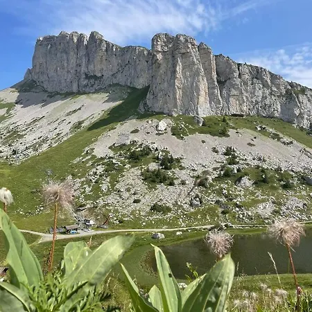 Apartment Cosy Dans Leysin